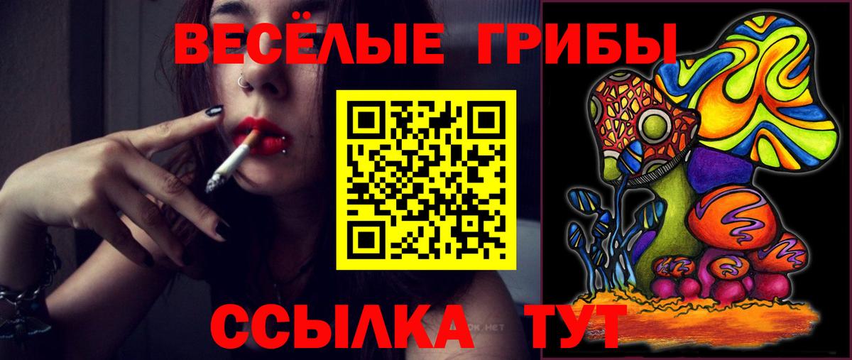 Грозный  Псилоцибиновые грибы Magic Shrooms  Вход с VPN  Галлюциногенные грибы GOLDEN TEACHER 